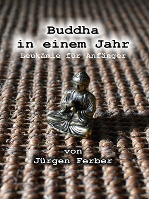 cover image of Buddha in einem Jahr